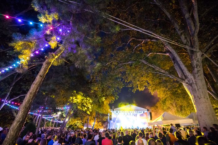 31 radó sziget-26